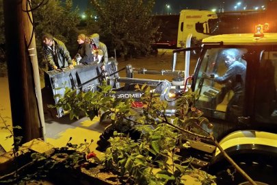 Akdeniz’de sağanak yağışın izleri siliniyor
