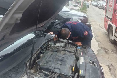 Otomobilin motor bölümüne giren yavru kedi 1 saatlik uğraşın ardından çıktı
