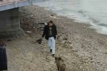 Bursa’da aç kalan domuz Mudanya sahiline indi
