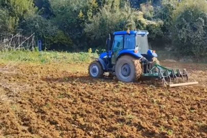 Kahramanmaraş’ta sonbahar yağmurları buğdaya can suyu oldu

