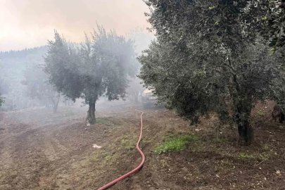 Erdek’te zeytinlik içerisindeki müstakil evde yangın çıktı
