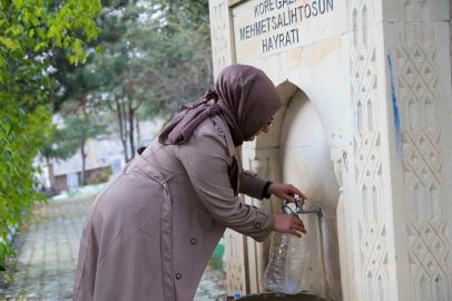 Gümüşhaneli kadın sanatçı, unutulmaya yüz tutan mezarları ve çeşmeleri yeniliyor
