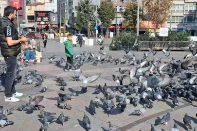 Bir yerde kış bir yerde yaz
