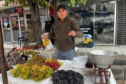 Haydar üzümleri tezgahlarda yerini aldı

