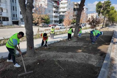 Söke devam eden projelerle yenileniyor
